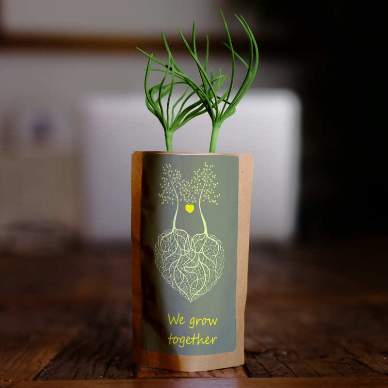 Plant 10 Trees for Our Journey – “Roots of Love”-0