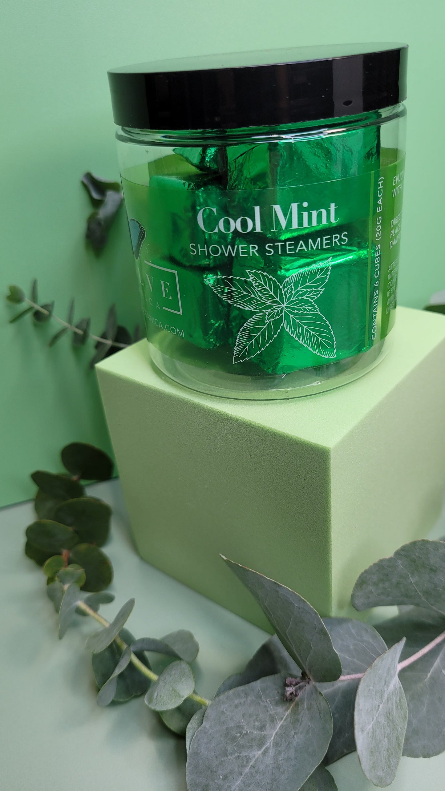 Eucalyptus & Mint Bundle-2