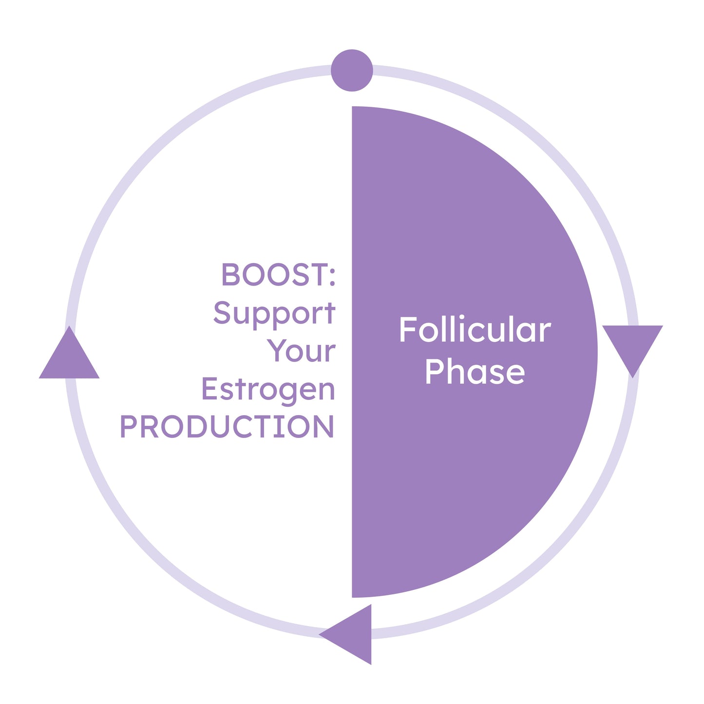 Boost Herbal Supplement by Proov-2