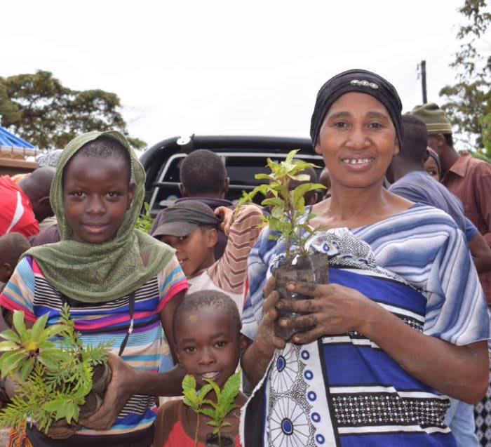 Pack of 50 Tree Kit Cups, We Plant 500 More Trees-3