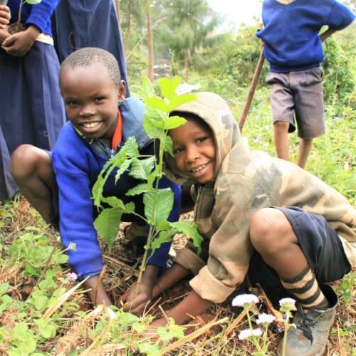 Forest Guardian Tree Cup, We Plant 100 More Trees-3