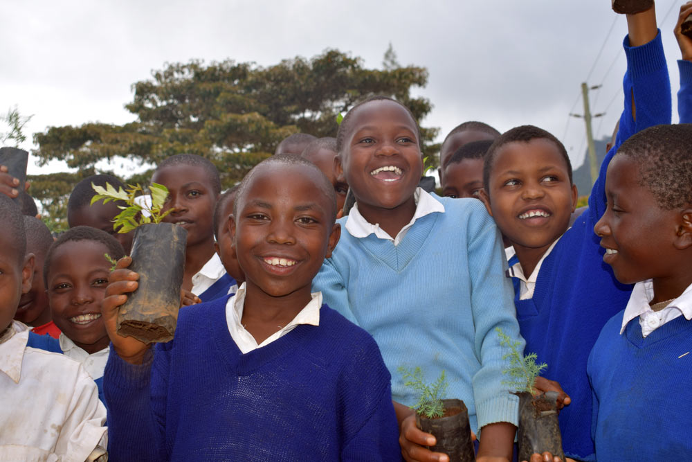Merry Christmas Tree, We Plant 10 More Trees-2