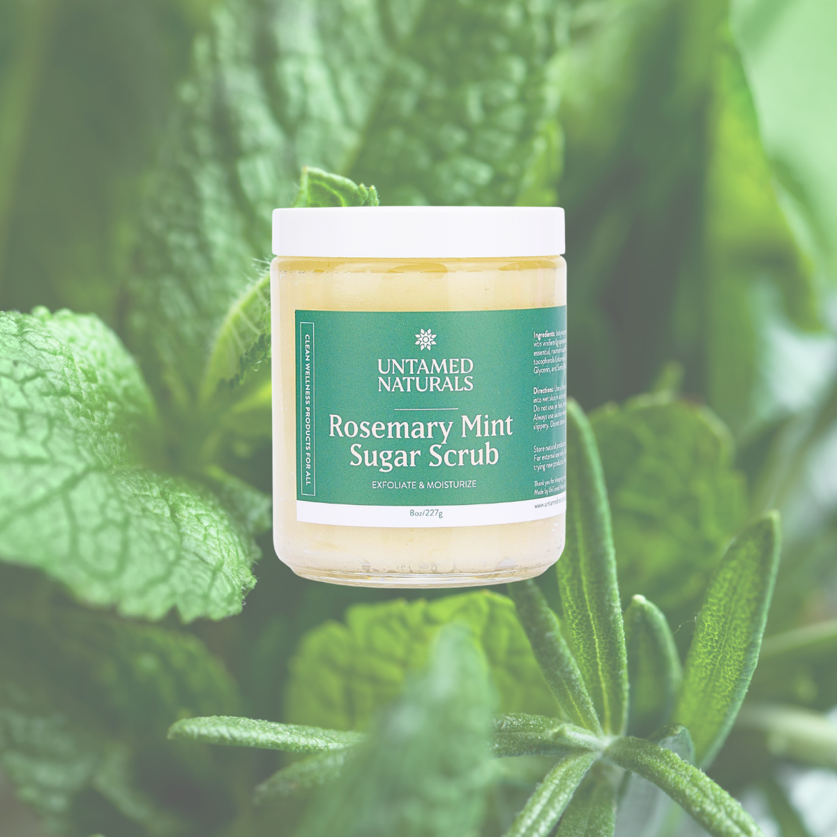 Rosemary Mint Sugar Scrub by UnTamed Naturals-1