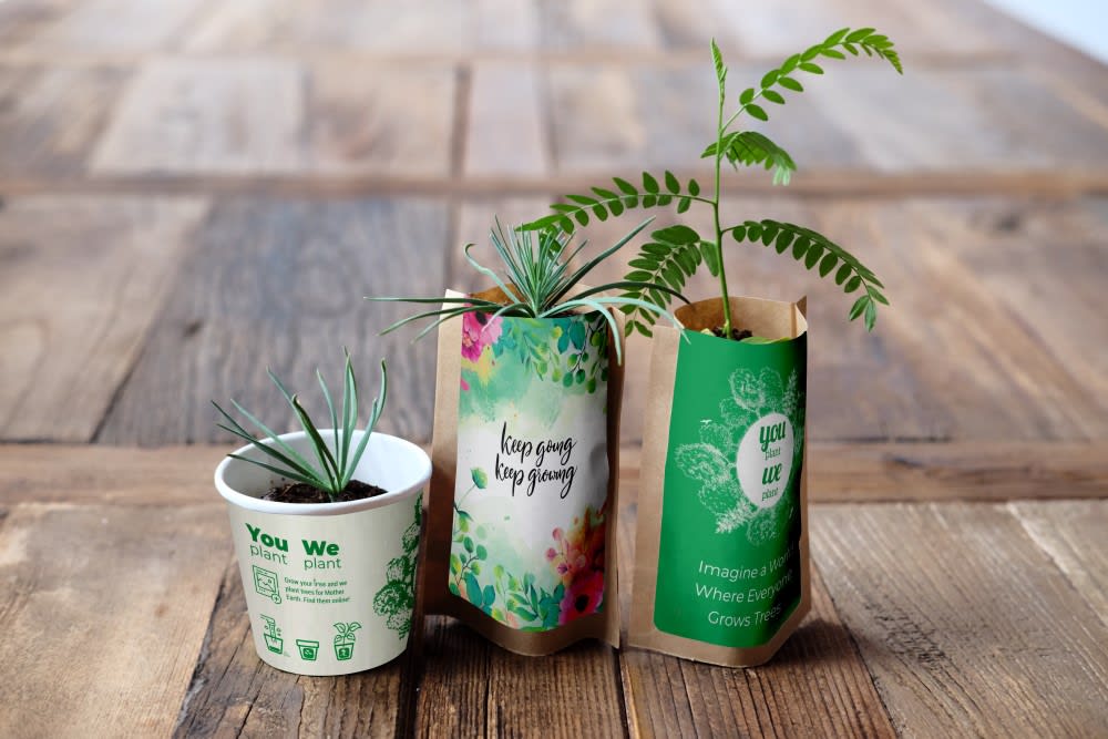 Forest Ambassador Pack, We Plant 300 More Trees-0