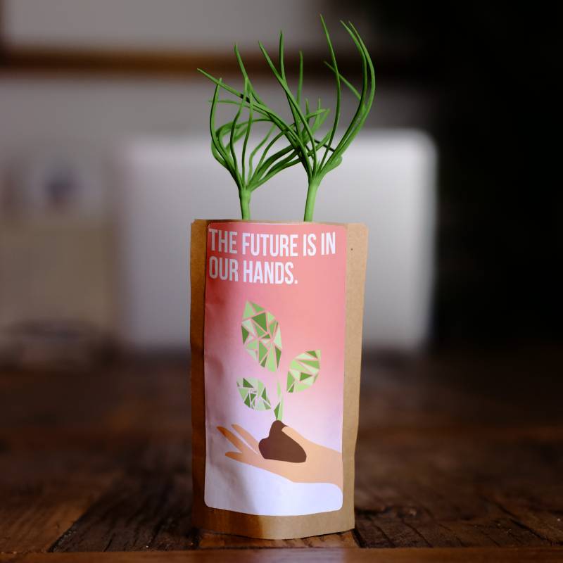 The Future Is In Our Hands Tree - Plants 100 Trees-0