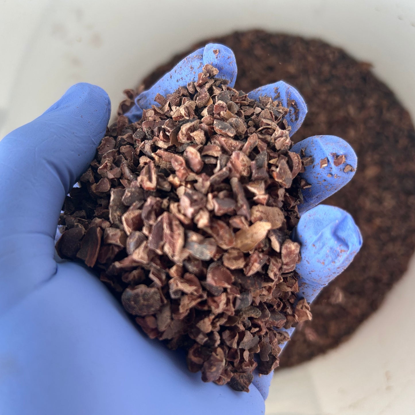 Hawaiian Cacao Nibs 8 oz-3