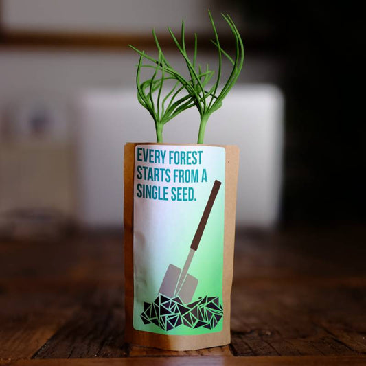 Every Forest Starts From a Single Seed - Plants 100 Trees-0