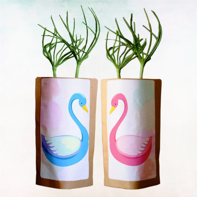 Grow Our Love with 20 Trees Planted in Honor of the Couple – “Swan Love"-0