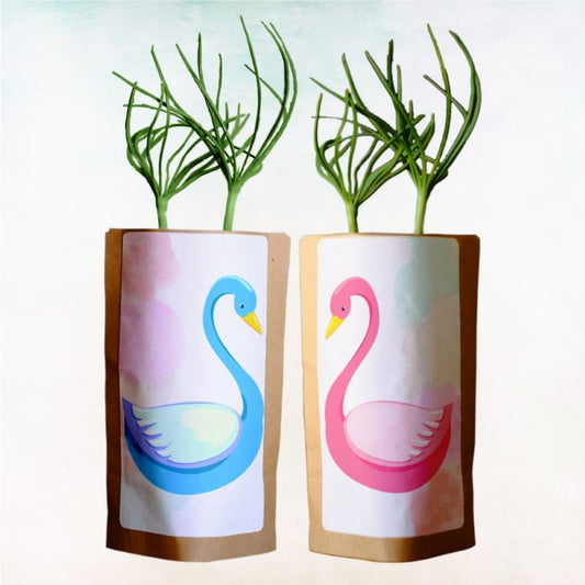 Grow Our Love with 20 Trees Planted in Honor of the Couple – “Swan Love"-0
