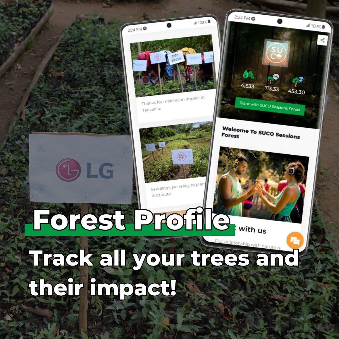 Every Forest Starts From a Single Seed - Plants 100 Trees-4