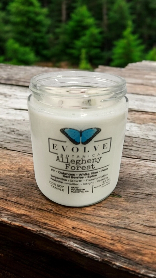 Classic 9oz Jam Jar Crystal Soy Candle - Allegheny Forest (Serpentine & Prehnite )-0
