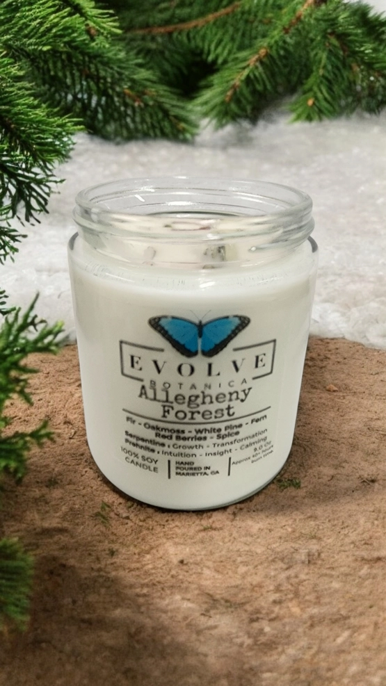 Classic 9oz Jam Jar Crystal Soy Candle - Allegheny Forest (Serpentine & Prehnite )-2