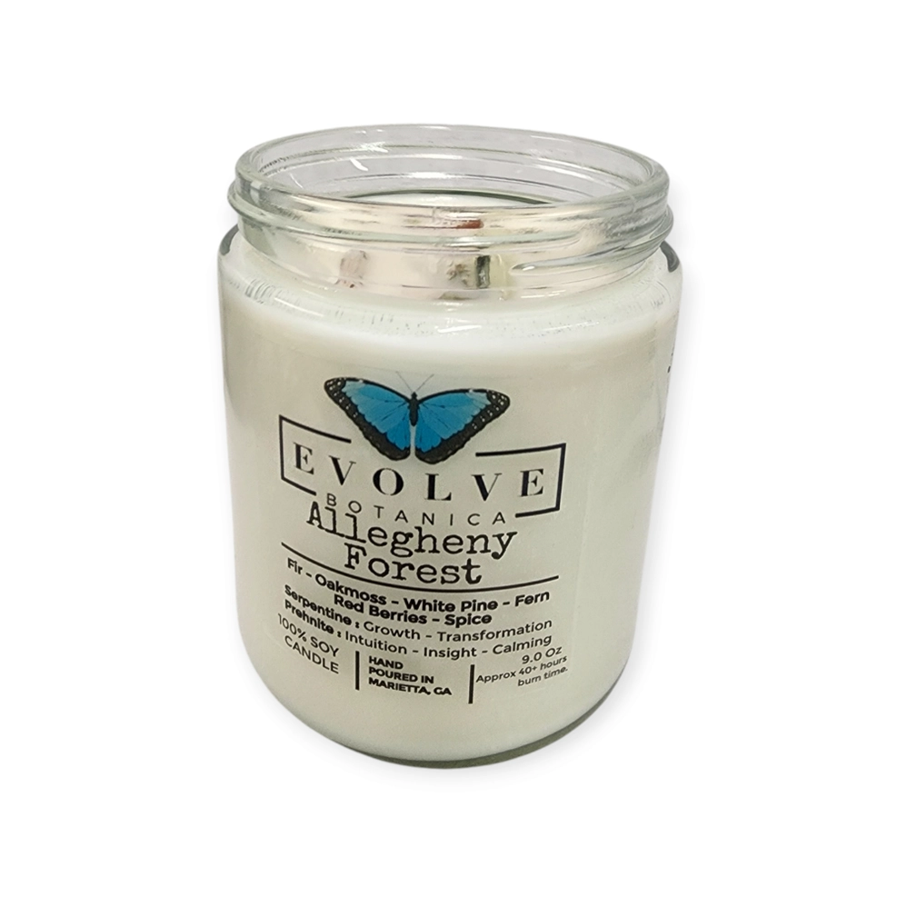 Classic 9oz Jam Jar Crystal Soy Candle - Allegheny Forest (Serpentine & Prehnite )-3