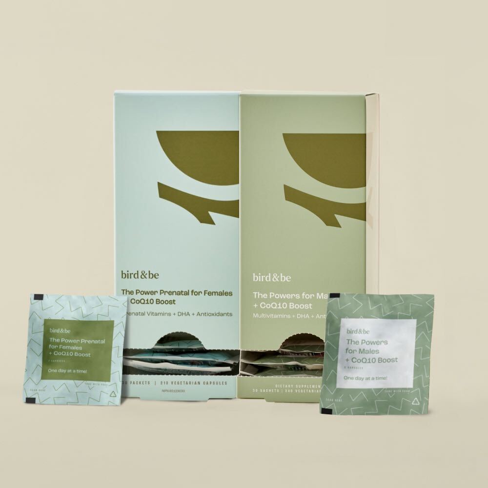 The Power Pack by Bird&Be-3