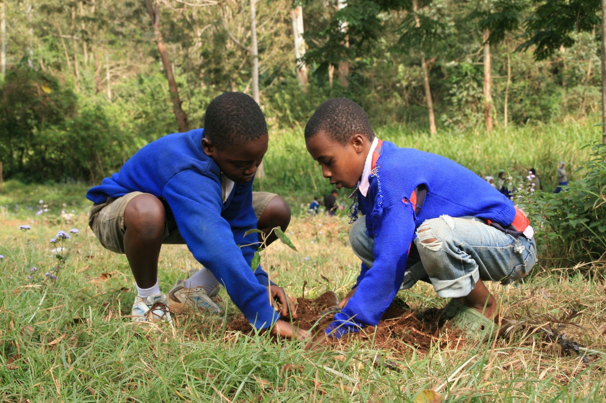 Happy New Year Tree, We Plant 10 More Trees-2