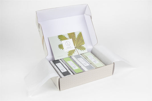 Earthy Shower Steamer Gift Box for Men and Women, Set of 12 Shower Steamers Package-0