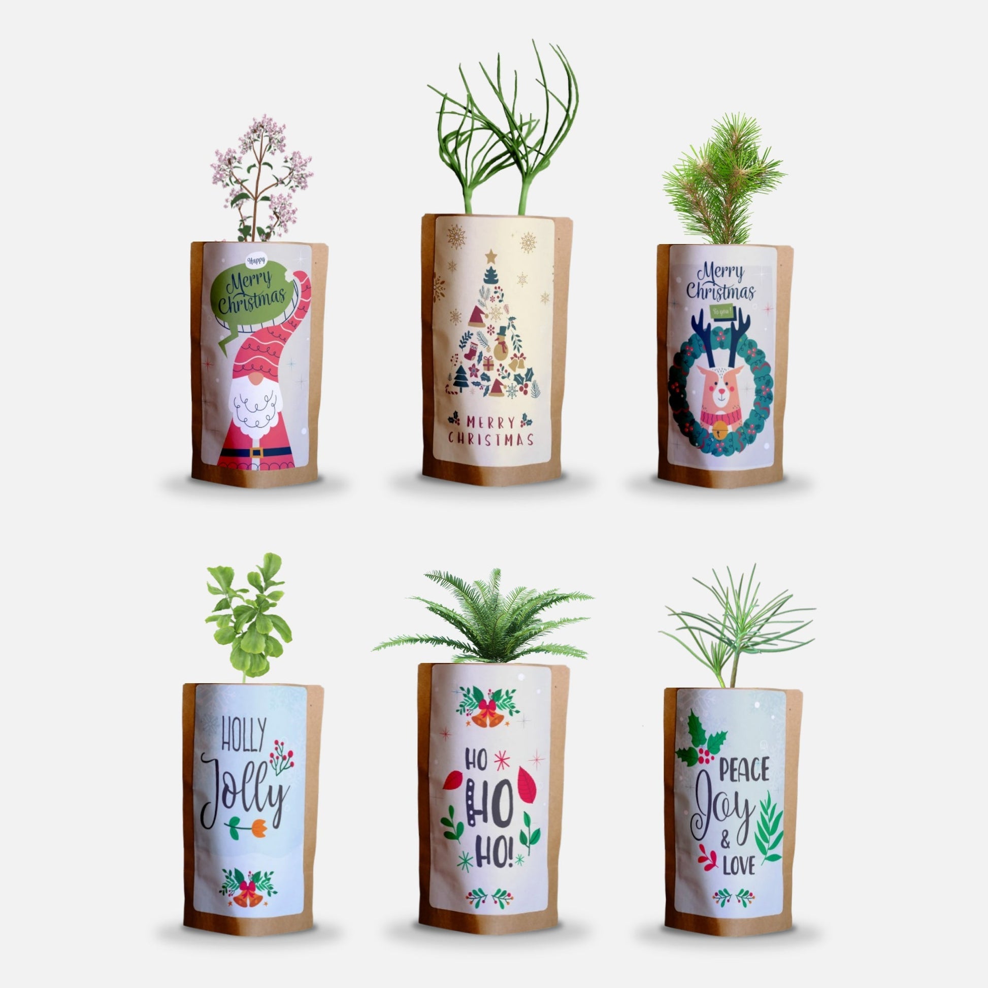 Christmas Greetings Tree Gift Pack, We Plant 60 More Trees-0