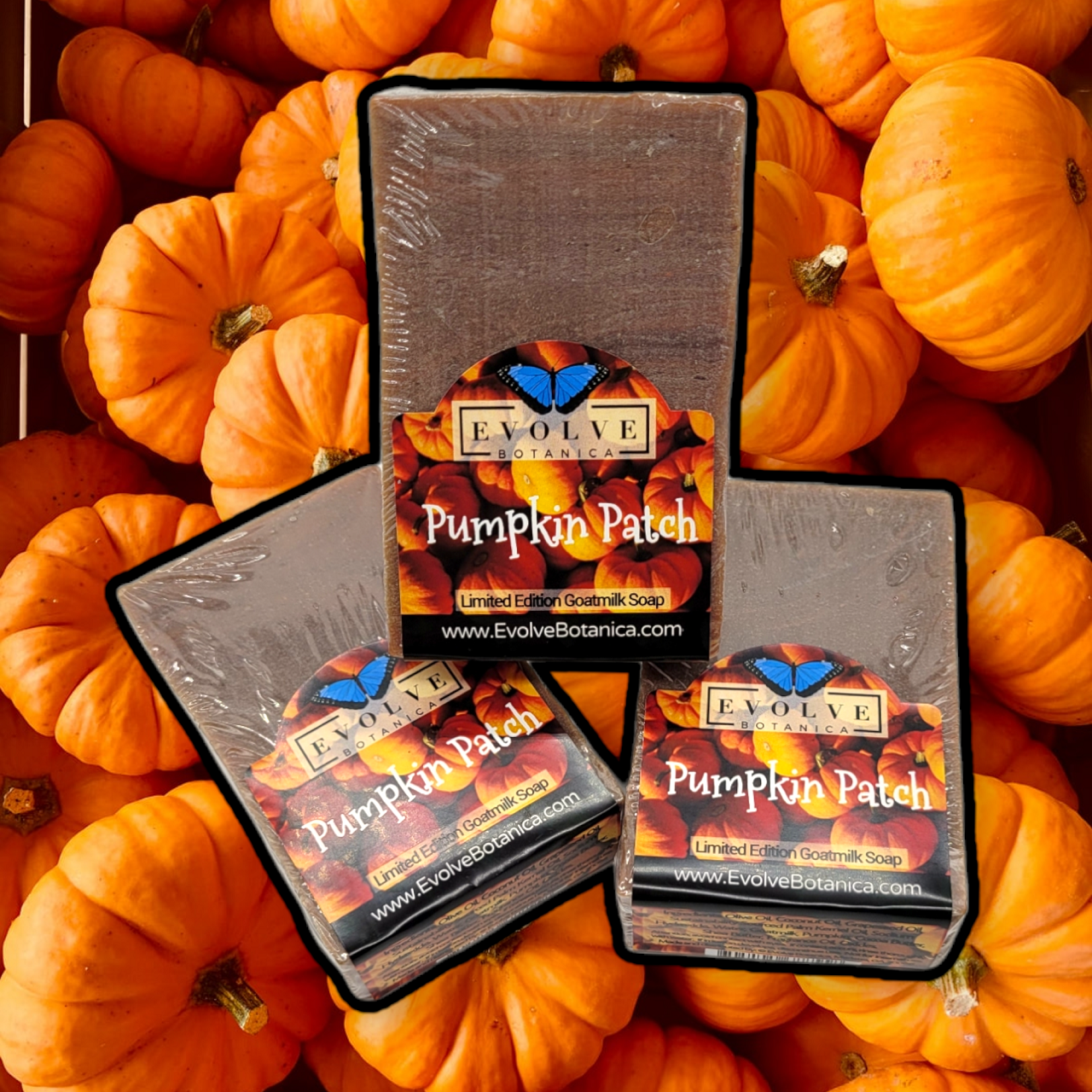 Standard Soap - Pumpkin Patch (Seasonal)-1