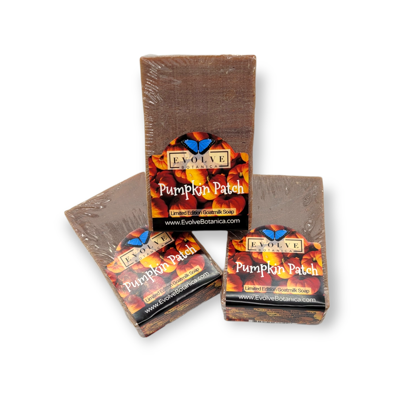 Standard Soap - Pumpkin Patch (Seasonal)-2