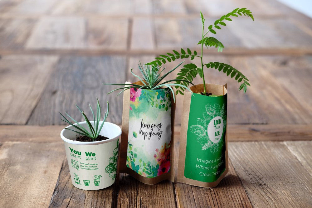 You Plant We Plant Pack of 3 Tree Kits, We Plant 30 More Trees-0