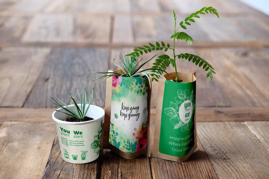You Plant We Plant Pack of 3 Tree Kits, We Plant 30 More Trees-0