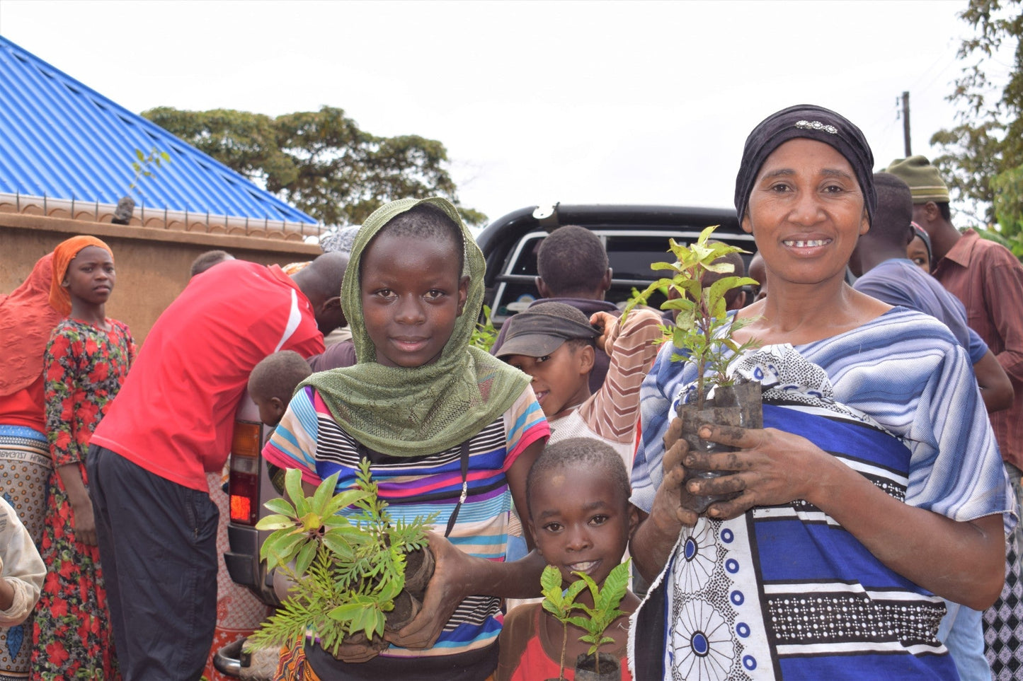 You Plant We Plant Pack of 3 Tree Kits, We Plant 30 More Trees-3