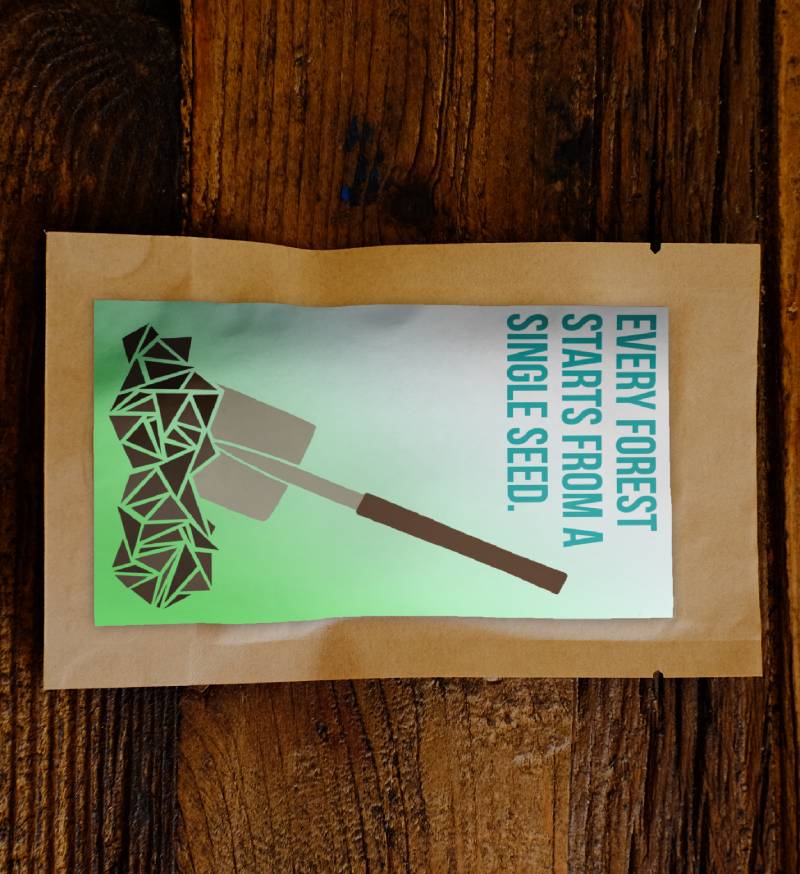 Every Forest Starts From a Single Seed - Plants 100 Trees-1